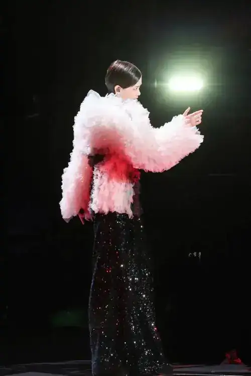 看月亮爬上來發行時間_看月亮爬上來李宇春_看月亮爬上來歌詞含義