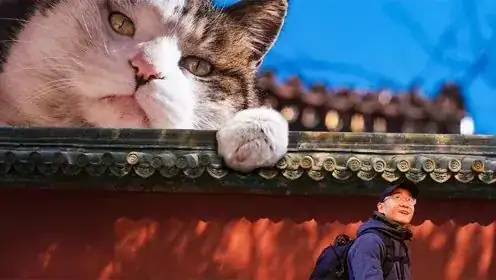 富貴命世界六指上有什么生肖_世界上有六指富貴命_富貴命的手指長短圖