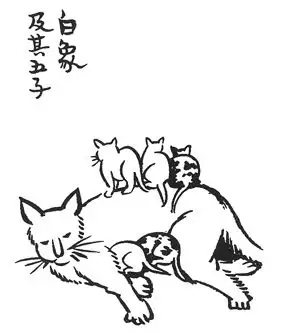 富貴命世界六指上有什么生肖_世界上有六指富貴命_富貴命的手指長短圖