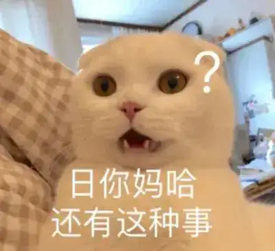 貓賴氨酸吃多少_貓賴氨酸過量會怎麼樣_貓賴氨酸吃多了有副作用嘛
