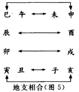 十二地支的合化關係解析：子醜合土的奧秘