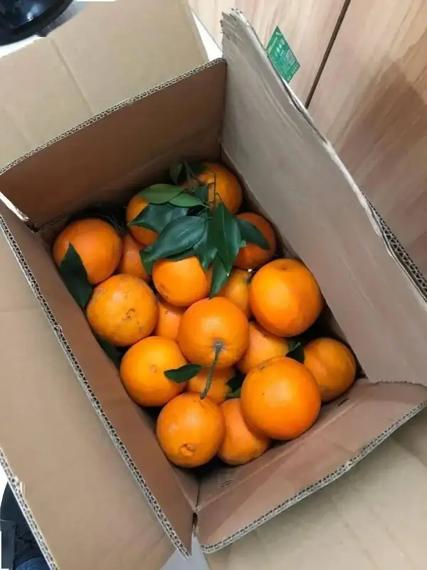 用擴陰器檢查會痛嗎_用擴陰器檢查會痛嗎_用擴陰器檢查會痛嗎