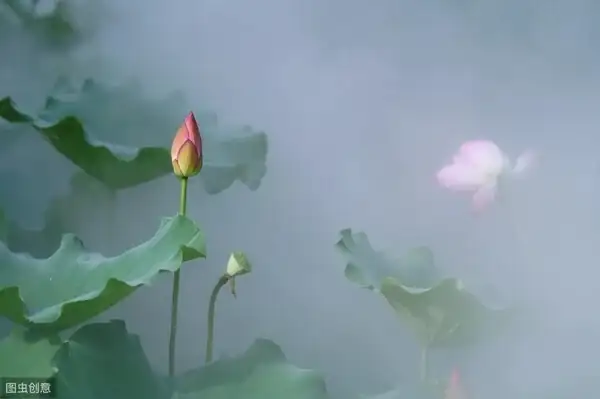 辰酉合的人_八字中有辰酉合的人_辰酉合的_八字辰酉合婚不好嗎