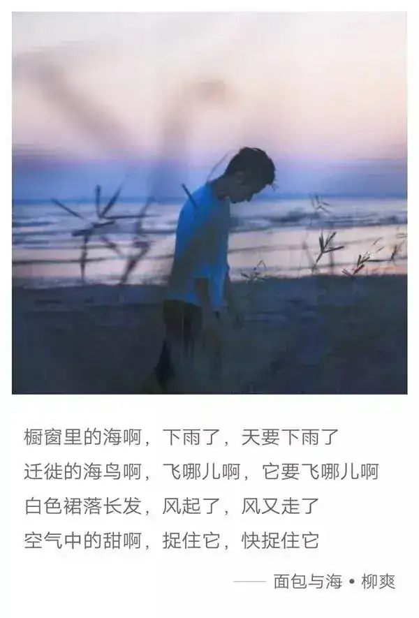 莫妮卡是什麼角色_莫妮卡是哪裡人_莫妮卡是誰