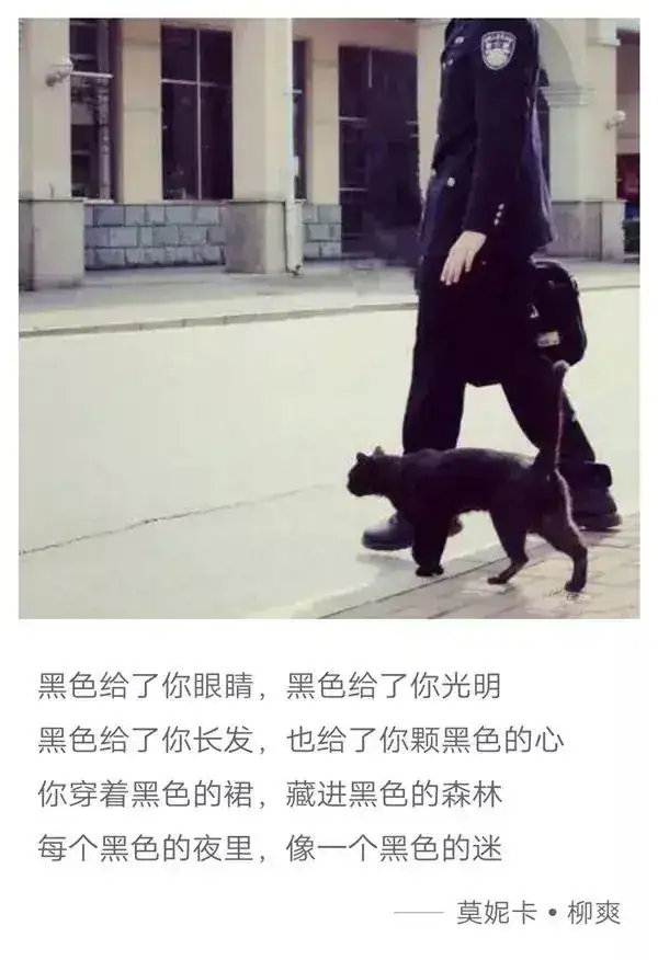 莫妮卡是哪裡人_莫妮卡是誰_莫妮卡是什麼角色