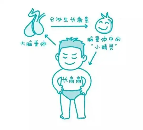 兒童缺乏鋅元素的危害及症狀，家長需警惕