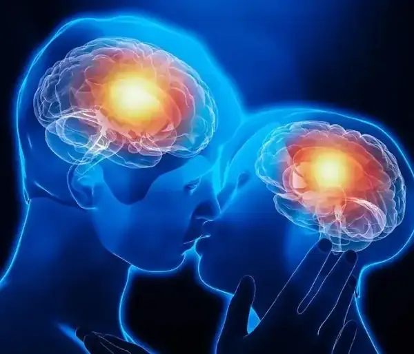 生理機轉反應性學有哪些方面_性反應的生理機轉有_生理機能反應