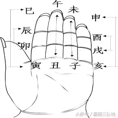 酉和辰合_八字中有辰酉合的人_八字辰酉合婚姻不好嗎