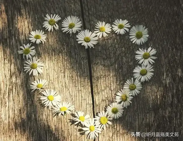 直到孤獨盡頭_我本愛孤獨直到遇見你_我本愛孤獨直到有了你