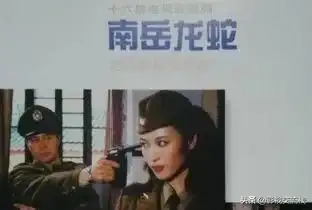 有日本女特務的抗日劇_求日本女特務的電視劇_日本特務電視劇大全