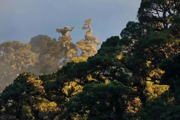 牡羊座回訊息很慢_牡羊座女回訊息慢_牡羊座回覆訊息很慢正常嗎