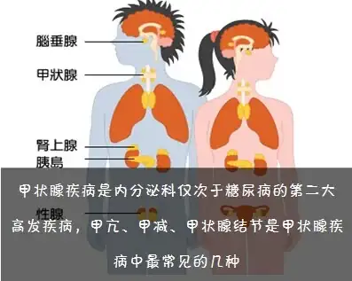 橋本甲狀腺炎：遺傳、風險與甲減，你了解多少？
