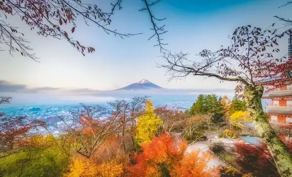 沒桃花的男人_沒有桃花運的男人特徵_男人有桃花運好嗎