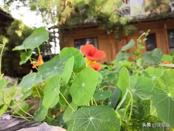 幸福是被你需要_幸福需要的條件_幸福需要理由嗎