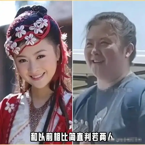 賈玲白凱南夫妻__賈玲為啥這麼胖