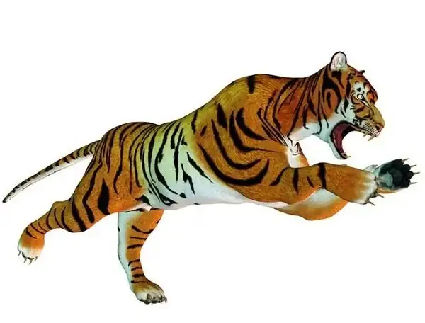 大地回春帶綠來是什么生肖_大地回春綠油油是什麼動物_大地回春綠油油生肖