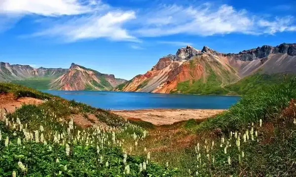 大地回春綠油油是什麼動物_大地綠是什么生肖_大地回春帶綠來是什麼生肖