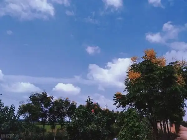 煩躁到極致是沉默_心煩的時候沉默是最好的選擇_心煩沉默的句子