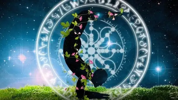 生肖蛇男人的愛情觀_77年屬蛇男一生的愛情_屬蛇的男人愛情
