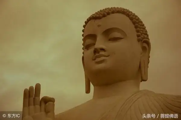 姻緣福報極大_福報好了姻緣自然來_提升福報姻緣自來