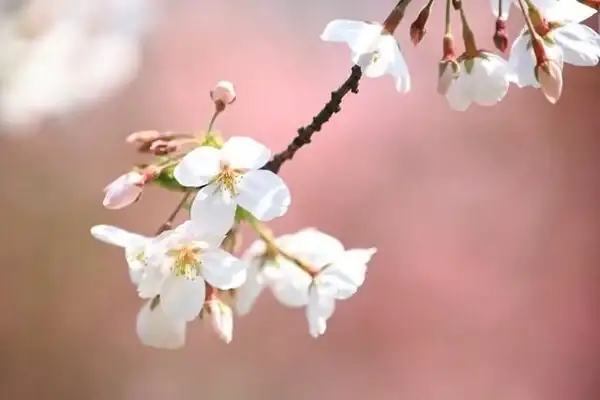 沉默是金：深海之水的神秘與內心的深意
