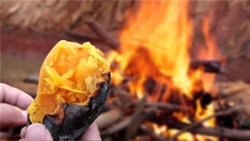 氣炸鍋版烤地瓜：軟糯甜，童年味道，真的能抗癌嗎？