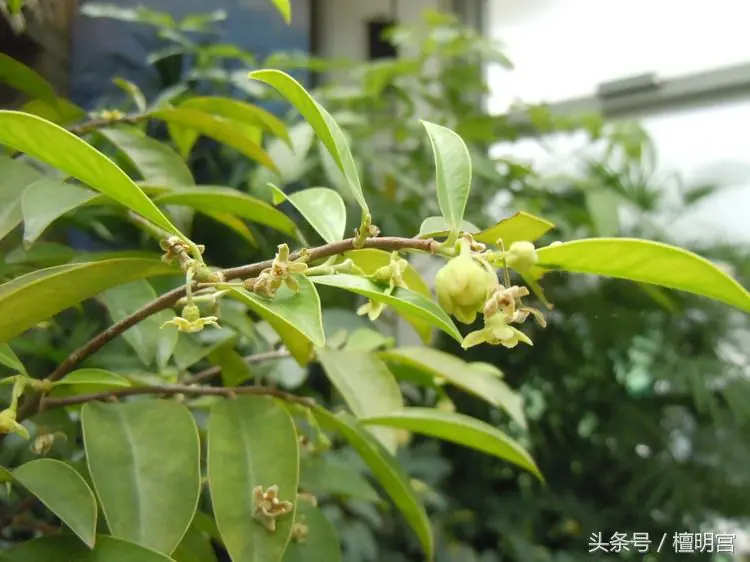 愛木財富是真的假的_愛木財富是真的假的_愛木財富是真的假的