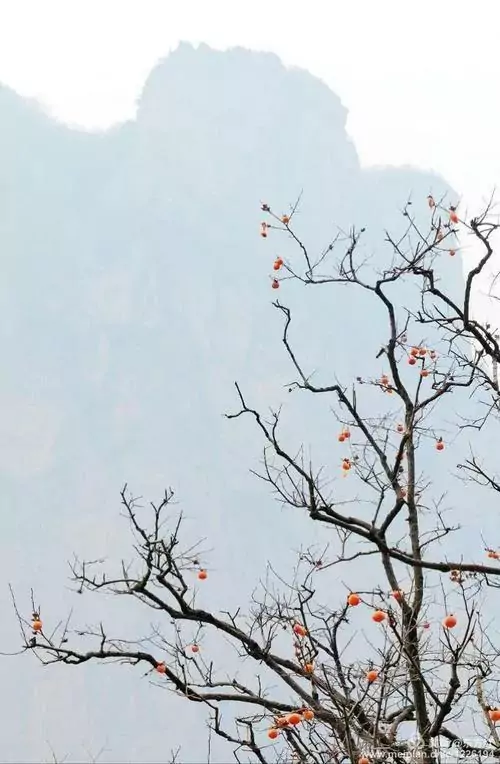 人生中最美的姿態_保持一種淡然,是人生最美的姿態_最美姿態是什麼意思